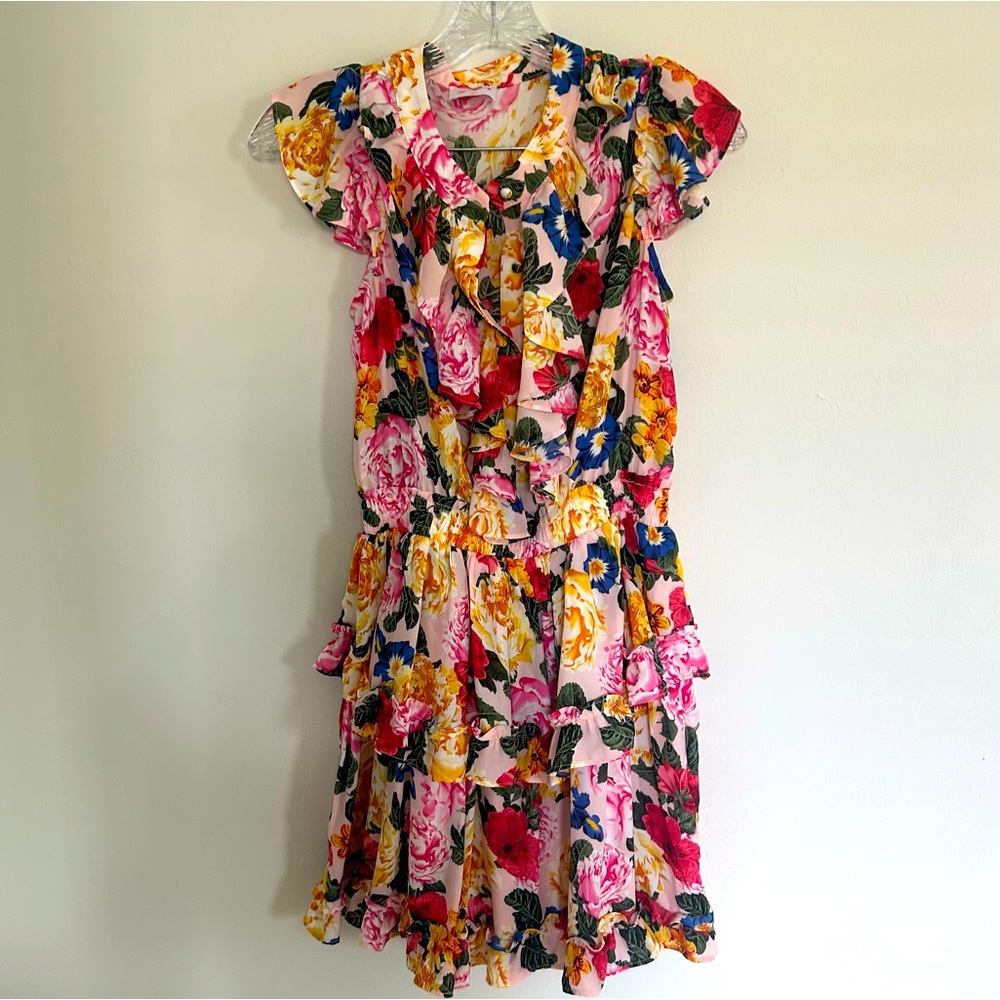Astrid ruffle front minidress from Buddy Love!